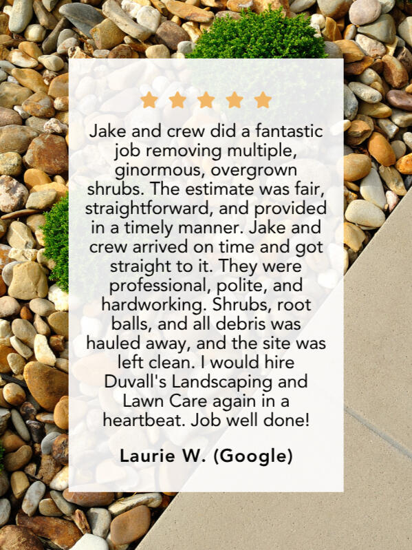 Google Review #3 Laurie W. left a 5-star review and said, "Jake and crew did a fantastic job removing multiple, ginormous, overgrown shrubs. The estimate was fair, straightforward, and provided in a timely manner. Jake and crew arrived on time and got straight to it. They